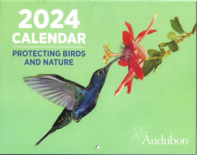 2024 WALL CALENDAR Protecting Birds Audubon Brand New Free Shipping 7.